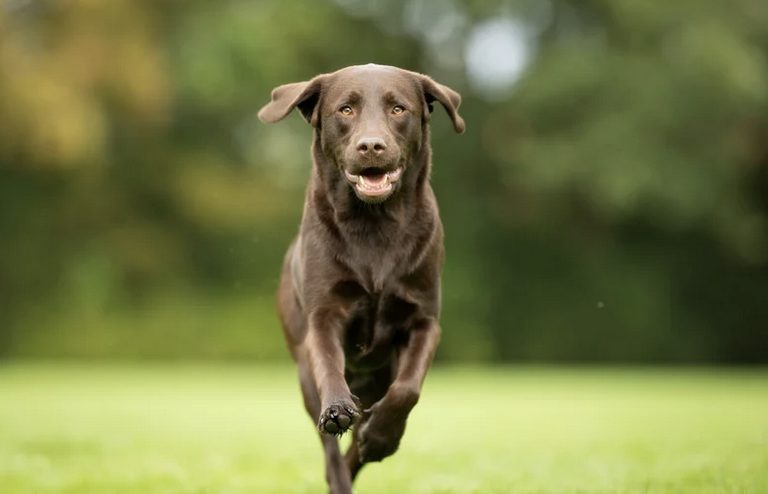 Anfänger, Sportarten